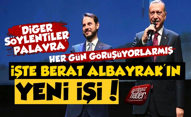 İşte Berat Albayrak'ın Yeni İşi!