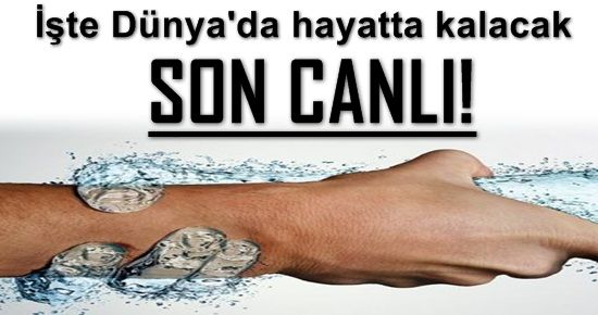 İŞTE DÜNYA’DA HAYATTA KALACAK SON CANLI!