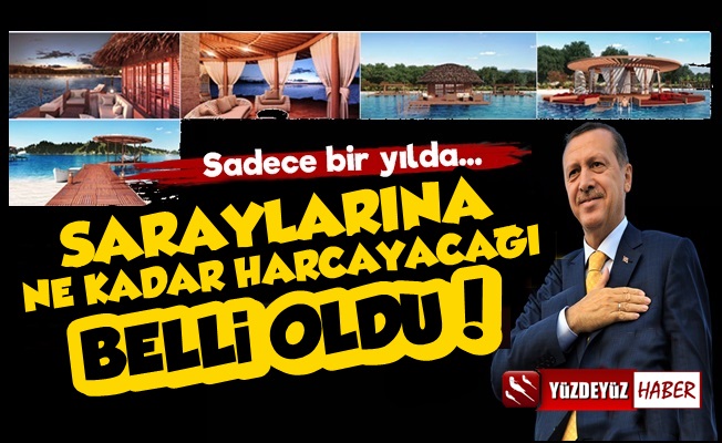 İşte Erdoğan'ın 2022 Yılında Saraylarına Harcayacağı Rakam!