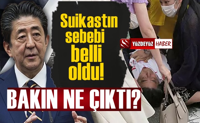 İşte Eski Japon Başbakan'ın Öldürülme Sebebi