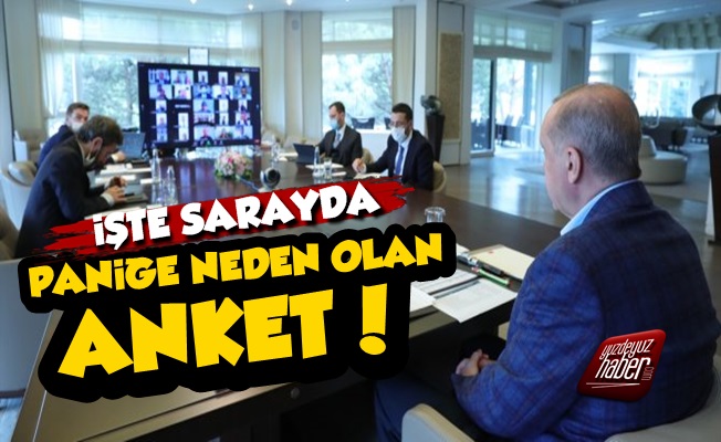 İşte Sarayda Paniğe Neden Olan Anket