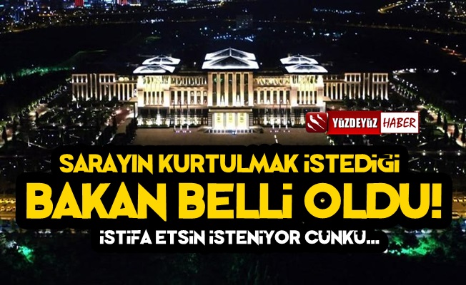 İşte Sarayın Kurtulmak İstediği O Bakan!