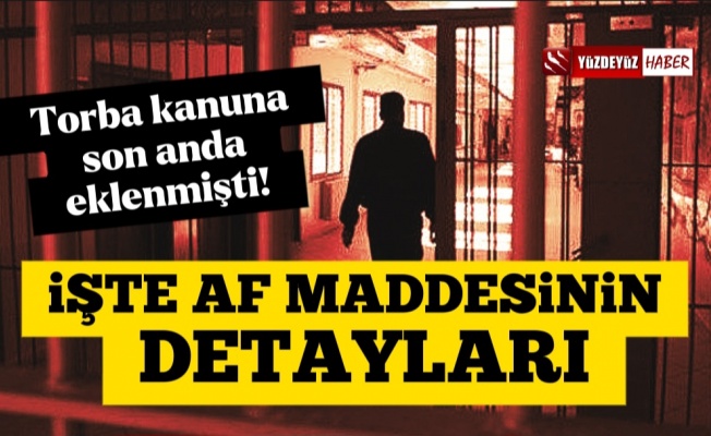 İşte Torba Kanundaki kısmı af düzenlemesinin detayları