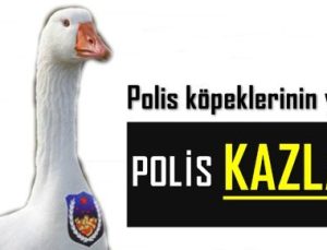 KARAKOLLARI ‘POLİS KAZLAR’ BEKLEYECEK…