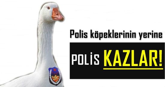 KARAKOLLARI ‘POLİS KAZLAR’ BEKLEYECEK…