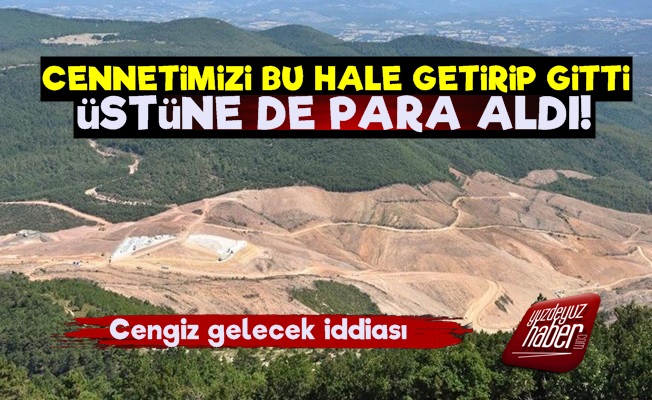 Kaz Dağlarını Bu Hale Getirip Üstüne de Tazminat Aldı!