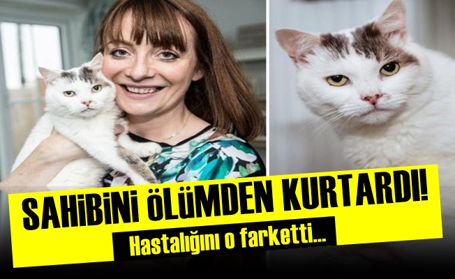 Kedi Sahibini Ölümden Kurtardı!