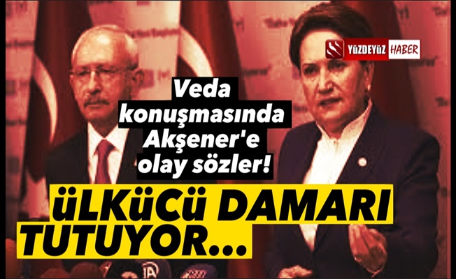 Kılıçdaroğlu'ndan Akşener'e: Ülkücü damarı tutuyor