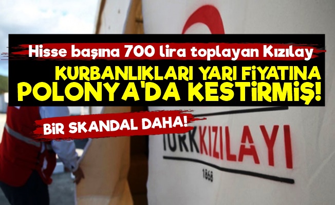 Kızılay'da Bir Skandal Daha! Bu Kez Kurbanlıklar…