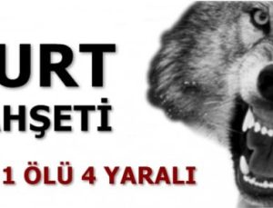 KURT VAHŞETİ: 1 ÖLÜ 4 YARALI