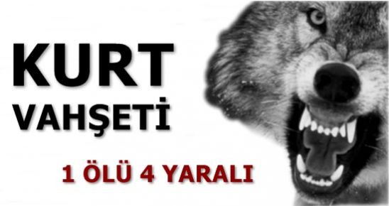 KURT VAHŞETİ: 1 ÖLÜ 4 YARALI