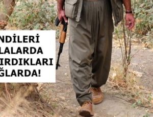 MASAK’DAN PKK’YA YÖNELİK ÇARPICI İDDİALAR!