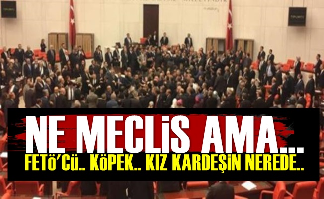 Meclis Öyle Bir Karıştı ki…