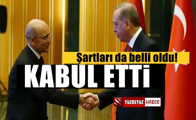 Mehmet Şimşek, Erdoğan'ın teklifini kabul etti, işte şartları