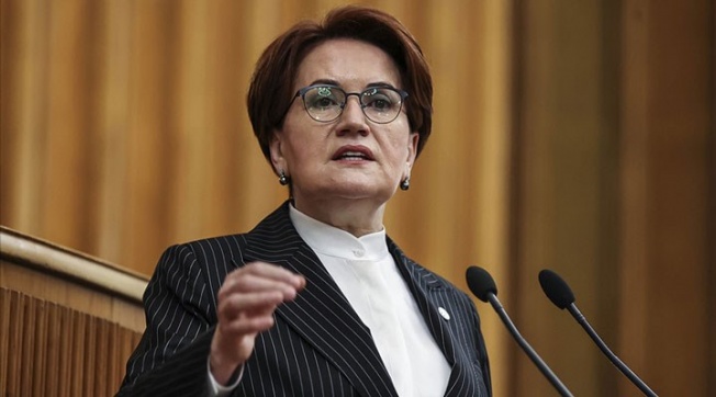 Meral Akşener: Twitter Gidecek Saray Kuşu mu Gelecek