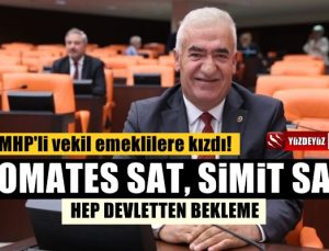 MHP'li Vekil, emeklilere kızdı: Domates satın, simit satın