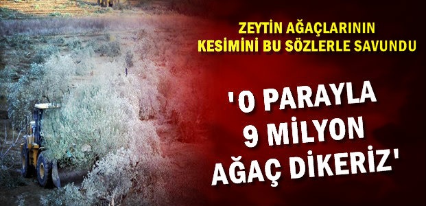 ‘NE VAR 9 MİLYON AĞAÇ DİKERİZ’