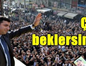 ÖCALAN’IN HEYKELİNİ DİKECEKLERMİŞ! VAY BE!