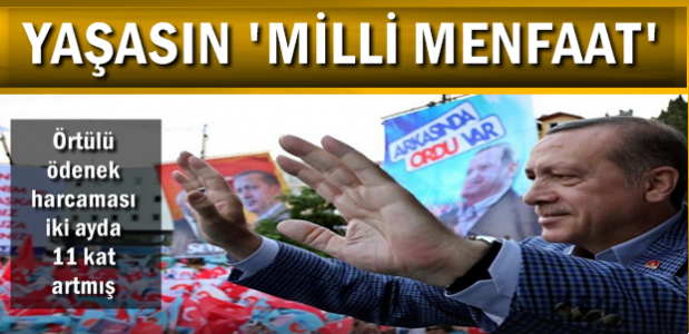 ÖRTÜLÜ ÖDENEKTE ‘MİLLİ MENFAAT’