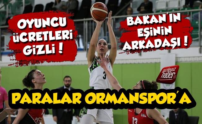 Paralar Yangına Değil Orman Spor'a Akmış