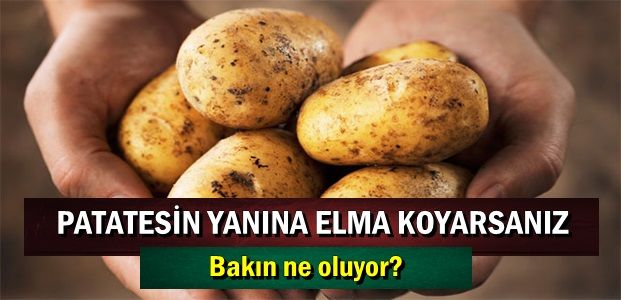 PATATESİN YANINA ELMA KOYARSANIZ…