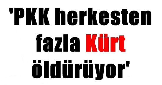 ‘PKK HERKESTEN FAZLA KÜRT ÖLDÜRÜYOR’