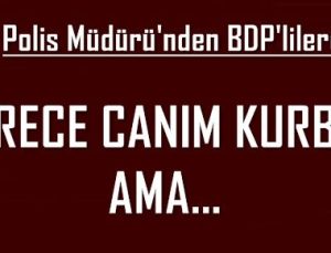 POLİS MÜDÜRÜ: SÜRECE CANIM KURBAN AMA…