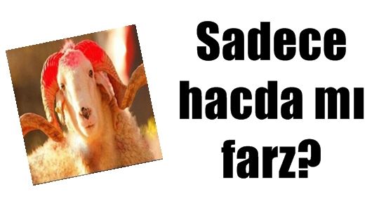 SADECE HACCA GİDENLERE Mİ FARZ?