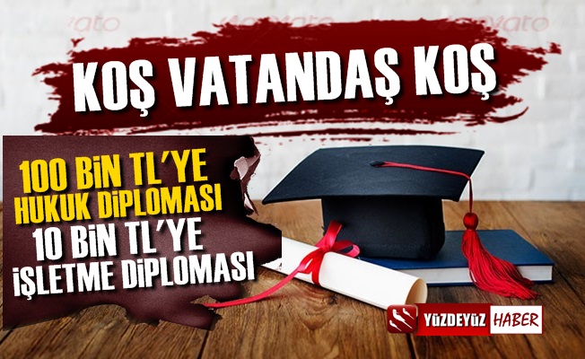 Sahte Diplomada Yok Yok, Hukuk Diploması 100 Bin TL