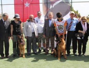 ŞAMPİYON KÖPEKLER VİLLAKENT’TE