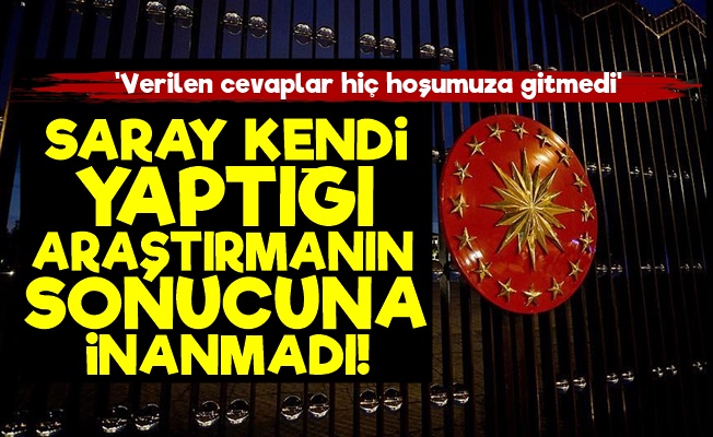 Saray Kendi Yaptırdığı Araştırmaya İnanmadı!