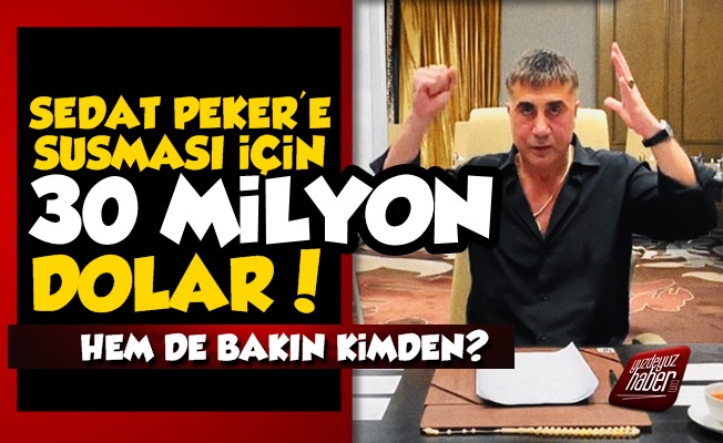 Sedat Peker'e 30 Milyon Dolar 'Sus' Parası