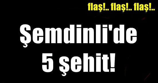 ŞEMDİNLİ’DE 5 ŞEHİT!