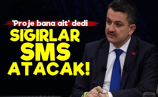 Sığırlar SMS Atacak! Proje Bakana Ait…