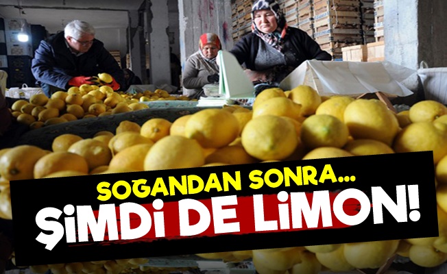 Soğandan Sonra Şimdi de Limon…