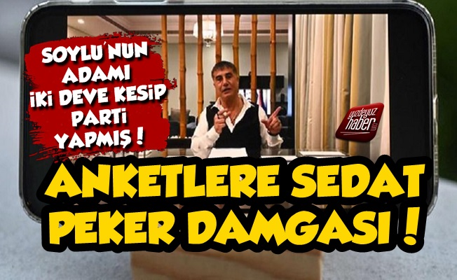 Son Anketlere Sedat Peker Damgası