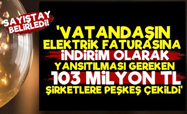 Tam 103 Milyon TL Vatandaşa Değil Şirketlere Gitmiş!