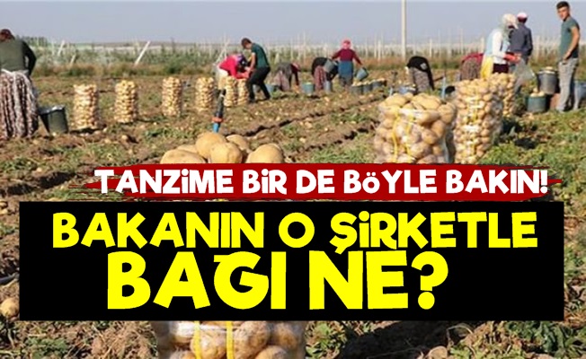 Tanzim Satışa Bir de Böyle Bakın!