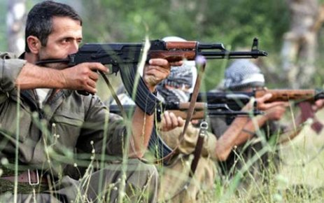 TERÖR ÖRGÜTÜ PKK’DAN ÖZEL İSTEK!