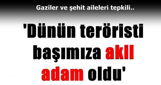 ‘TERÖRİSTLER BAŞIMIZA AKİL ADAM OLDU’