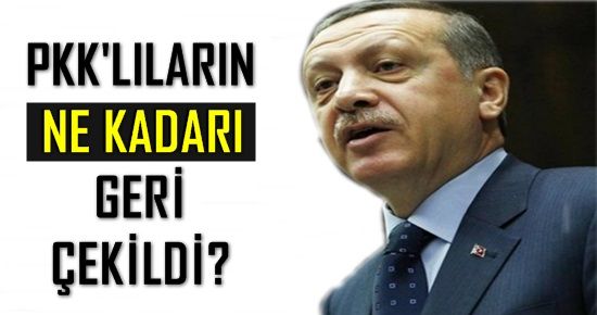 TERÖRİSTLERİN NE KADARI GERİ ÇEKİLDİ?