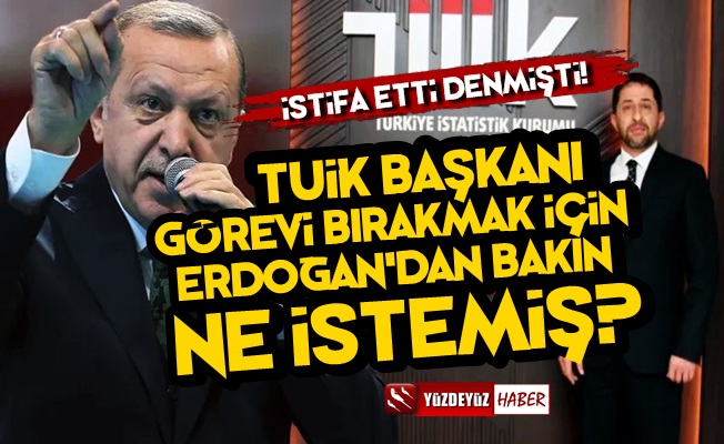 TÜİK Başkanı Dinçer, Erdoğan'dan Bakın Ne İstemiş?