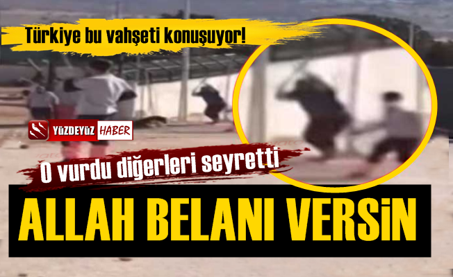 Türkiye, AKP'li Konya'da Hayvan Vahşetini Konuşuyor