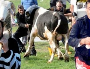 TÜRKİYE BAYRAMI BÖYLE GEÇİRDİ