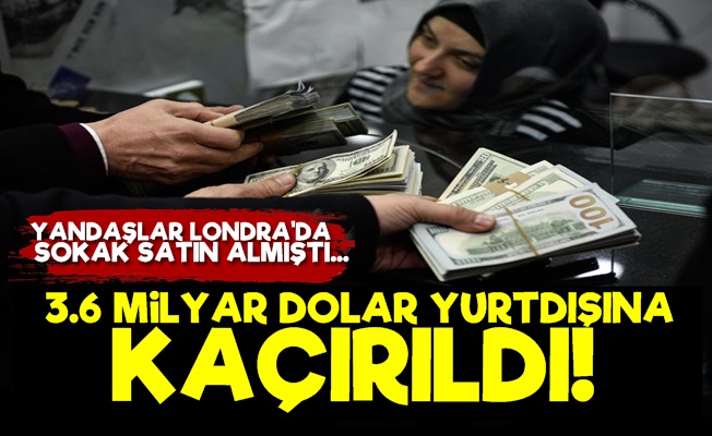 Türkiye'den 3.6 Milyar Dolar Kaçırıldı!