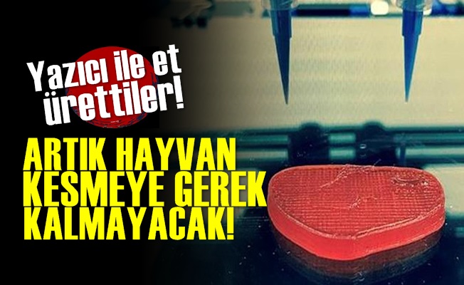 Üç Boyutlu Yazıcı İle ET Ürettiler!