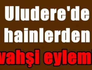 ULUDERE’DE HAİNLERDEN VAHŞİ EYLEM!