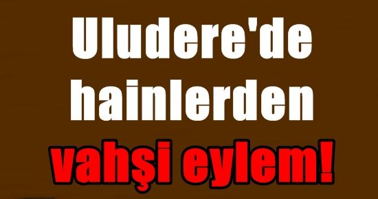 ULUDERE’DE HAİNLERDEN VAHŞİ EYLEM!