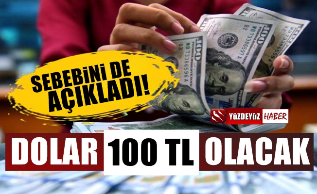 Ünlü ekonomistten şok sözler! Dolar 100 TL. olacak çünkü…