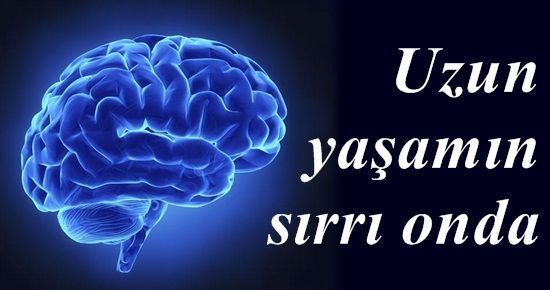 UZUN YAŞAM HAYAL OLMAKTAN ÇIKIYOR!